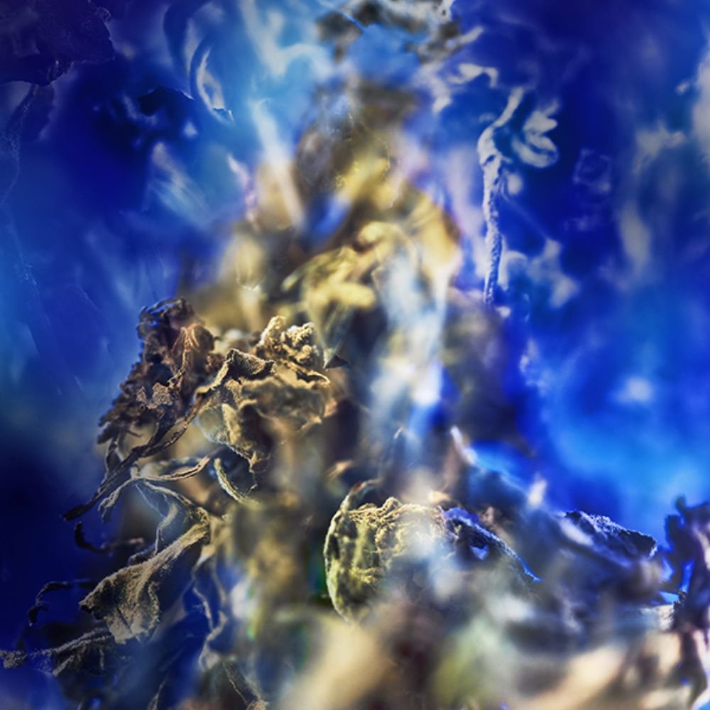 BVLGARI Le Gemme Gyan 125ml - унисекс парфюм - Image 3